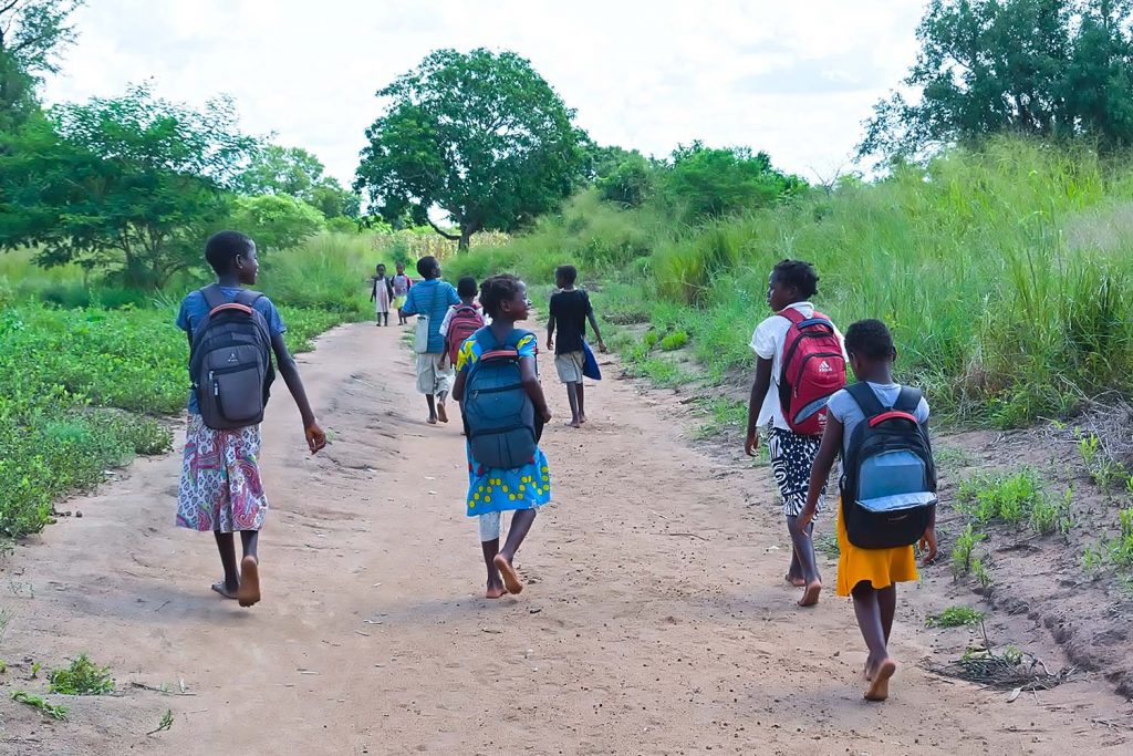educação em Moçambique estatísticas da educação