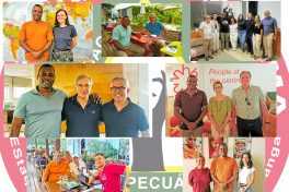 Partnerships in Europe