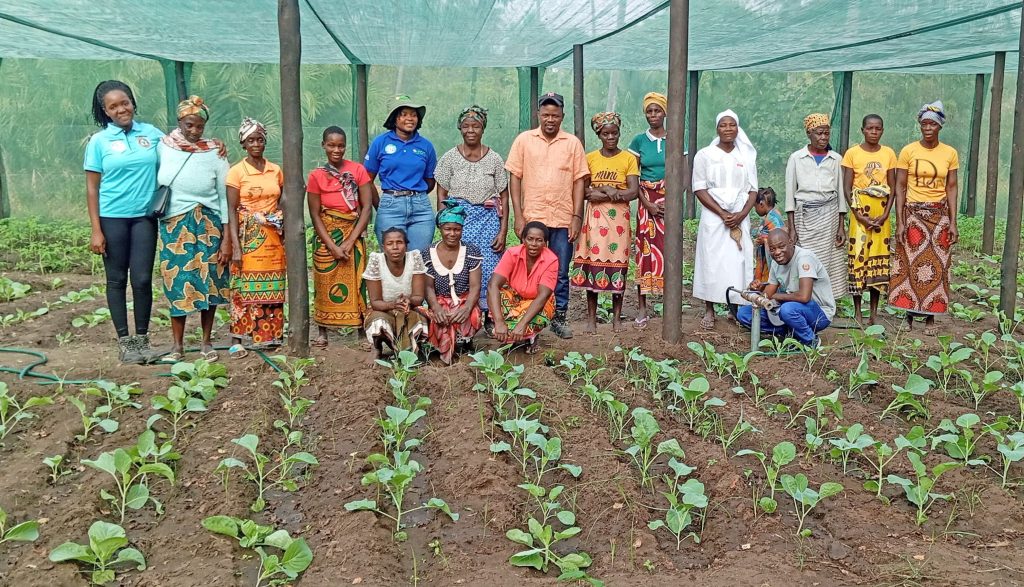 Sustainable-agriculture-greenhouses