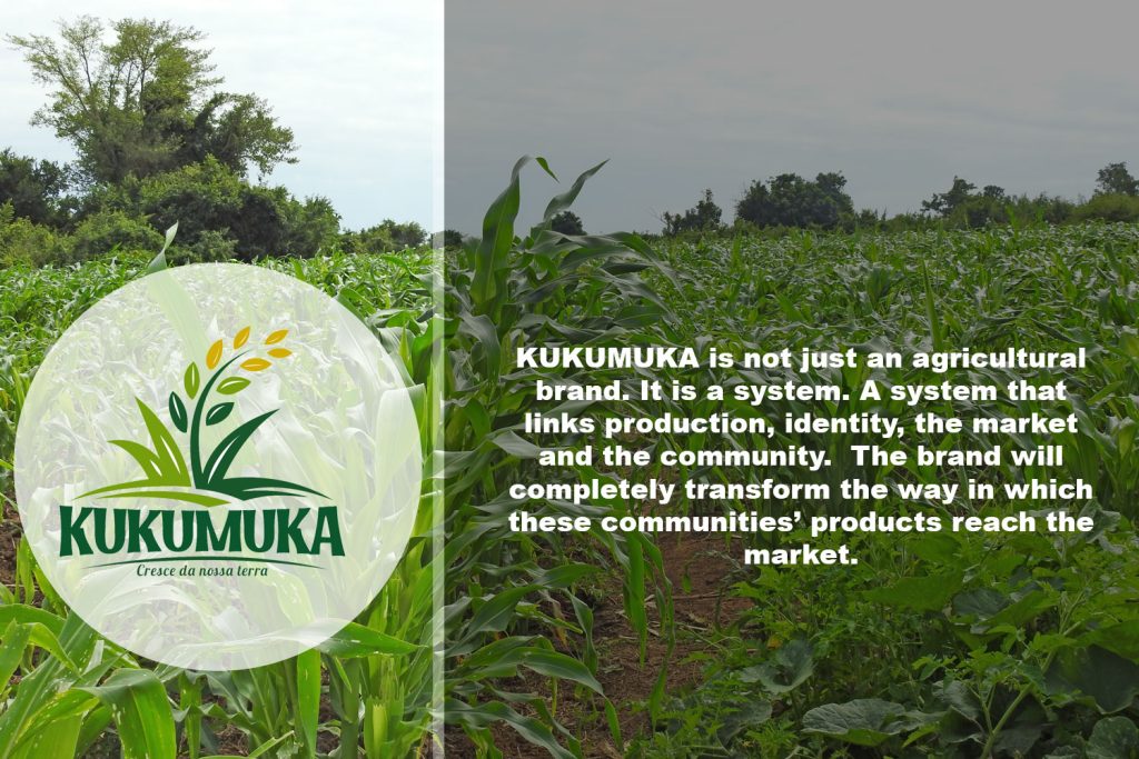 kukumuka info